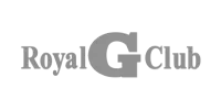 Visa Digital logo